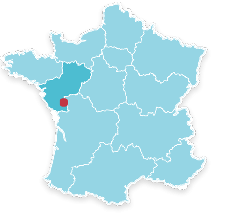 85110 CHANTONNAY
